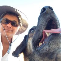 Nazli Nomanbhoy's profile image