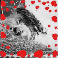 Jara Thomas's profile image