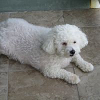 Mary Ann Locklear's profile image