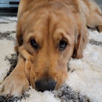 Ins-All     "Good advice without the hard sell"'s profile image