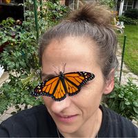 Carrie Turner's profile image