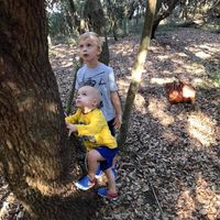 Darrin Overholt's profile image
