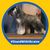 Kellye Lee's profile image