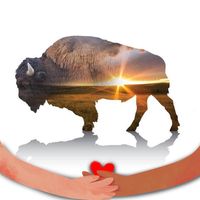 Ronald H Miller's profile image