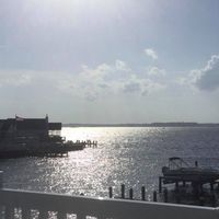 Pam Brito's profile image