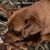 Duane Scott's profile image