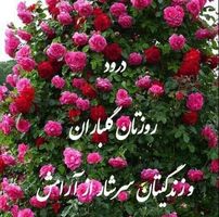 Helen Yaghoubi's profile image