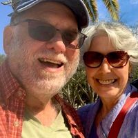 Mary Anne Rotolo Silverman's profile image