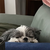 Andrew L.'s profile image