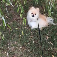 Amy Crawford's profile image