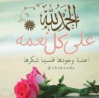 Hala Shreen's profile image