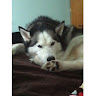 Dean M.'s profile image
