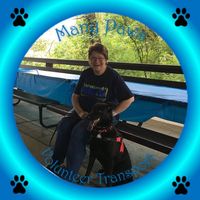 Evelyn Adrian's profile image