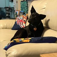 Lisa Stevens's profile image