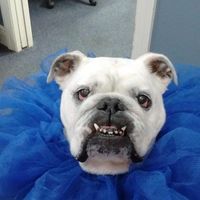 Sandra Thoma Stephen's profile image