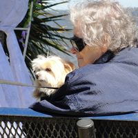 Tami Joca's profile image