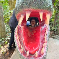 Tracey Scott's profile image
