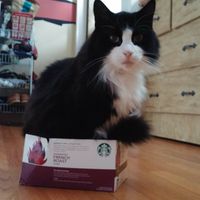 Kathy Strother's profile image