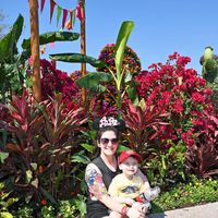 Julieann Cody's profile image