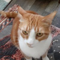 Barbara Crawford's profile image