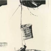 Don Janke's profile image