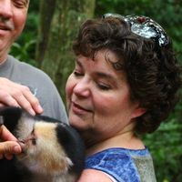 Lynne Modranski's profile image