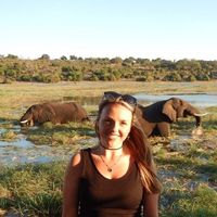 Lyndsey Sutton's profile image