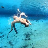 Melissa Hoffler's profile image