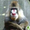 PaulKinser's profile image