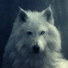 FrostEOne's profile image