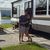 Christine Coates's profile image