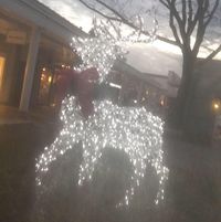 John Ramirez's profile image