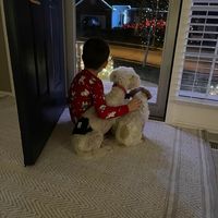 Noel DeVries's profile image