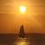 Donna Mongillo Dunn's profile image