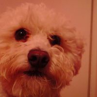 Anne Waddell's profile image