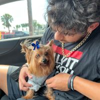 Brandon Zapata's profile image