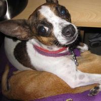 Beby Garcia's profile image
