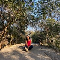 Thania Campos's profile image
