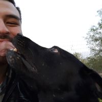 Jesus Saavedra's profile image