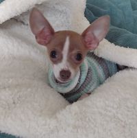 Beverly Schaefer's profile image