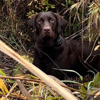 Sandy Bryon Schreiber's profile image