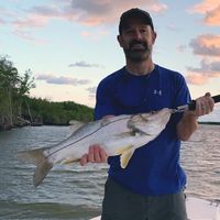 Bryan Reavis's profile image