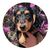 Donna Mae Madigan's profile image