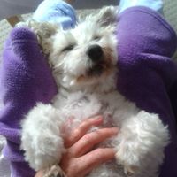 Candy Mack's profile image