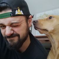 Simon Matthews's profile image