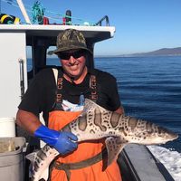 Bill Koon's profile image