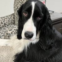 Vicki Rumsey's profile image