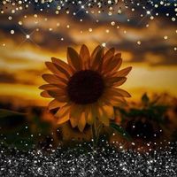 Gwen Lewing Miller's profile image