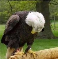 Jamie Caldwell's profile image