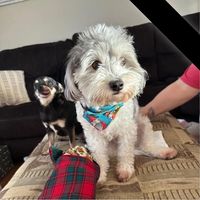 Bobbie Myers-Niten's profile image